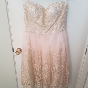 Pink Champaigne Tulle Dress